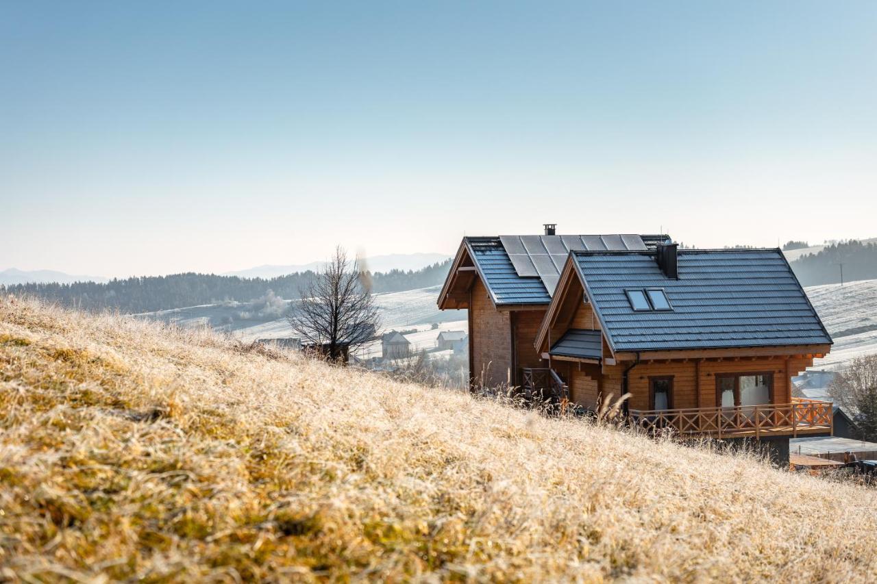 Houten Vakantiewoning "Reisnaarpolen" Royaal Ontbijt, Sauna En Hottub Czarna Góra エクステリア 写真