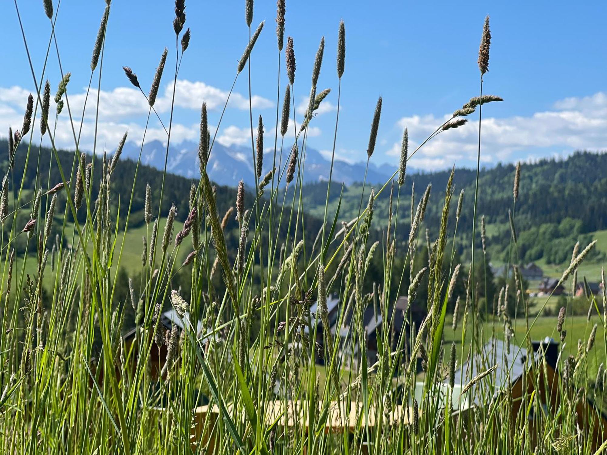 Houten Vakantiewoning "Reisnaarpolen" Royaal Ontbijt, Sauna En Hottub Czarna Góra エクステリア 写真